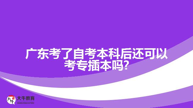 廣東考了自考本科后還可以考專插本嗎?