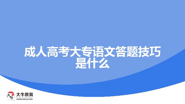 成人高考大專語文答題技巧是什么