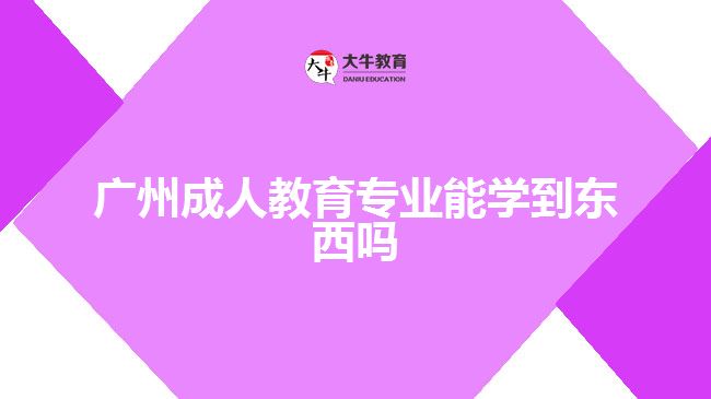 廣州成人教育專業(yè)能學(xué)到東西嗎