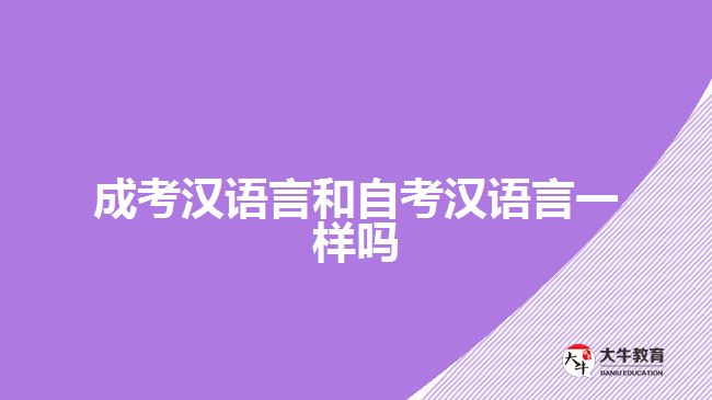 成考漢語言和自考漢語言一樣嗎