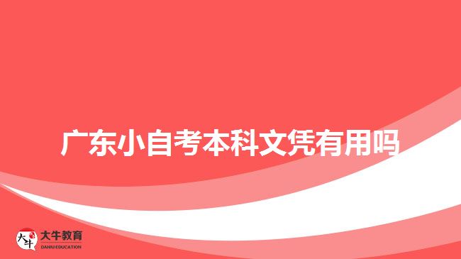 廣東小自考本科文憑有用嗎