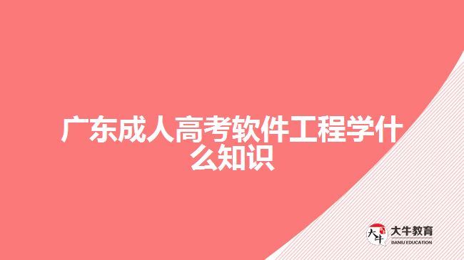 廣東成人高考軟件工程學(xué)什么知識