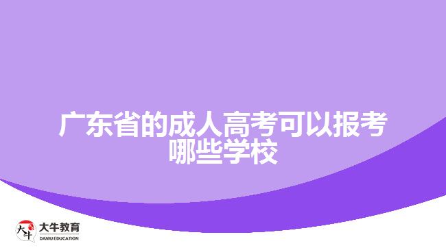 廣東省的成人高考可以報考哪些學(xué)校