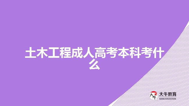 土木工程成人高考本科考什么