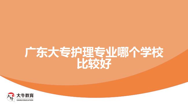 廣東大專護理專業(yè)哪個學(xué)校比較好