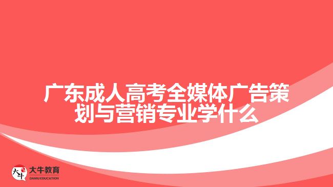 廣東成人高考全媒體廣告策劃與營銷專業(yè)學(xué)什么