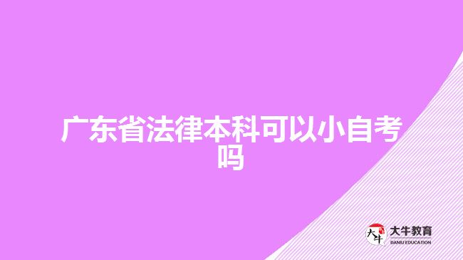 廣東省法律本科可以小自考嗎