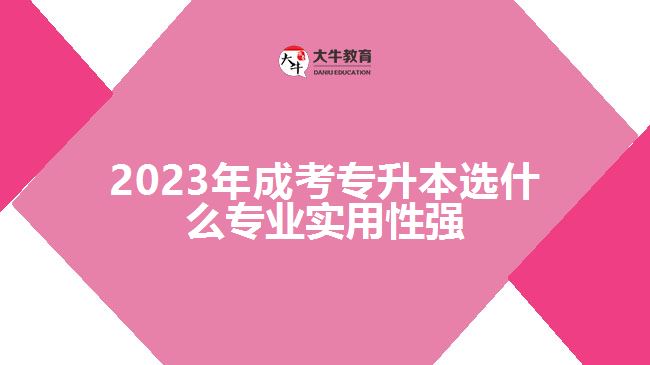 2023年成考專升本選什么專業(yè)實用性強(qiáng)