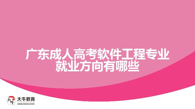 廣東成人高考軟件工程專業(yè)就業(yè)方向有哪些