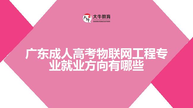 廣東成人高考物聯(lián)網(wǎng)工程專業(yè)就業(yè)方向有哪些