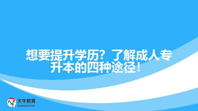 想要提升學(xué)歷？了解成人專升本的四種途徑！