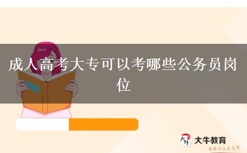 成人高考大專可以考哪些公務(wù)員崗位