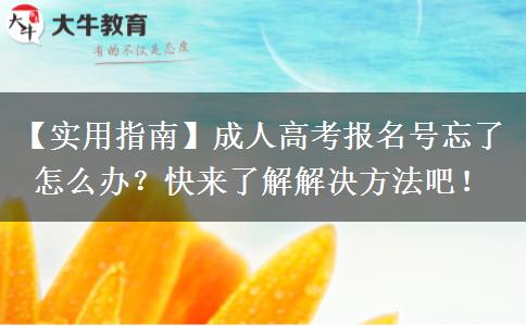 成人高考報(bào)名號忘了怎么辦？