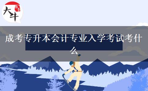 成考專升本會(huì)計(jì)專業(yè)入學(xué)考試考什么