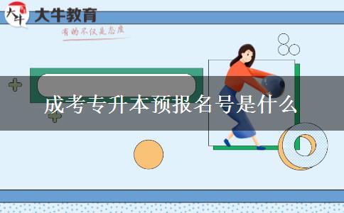成考專升本預(yù)報名號是什么