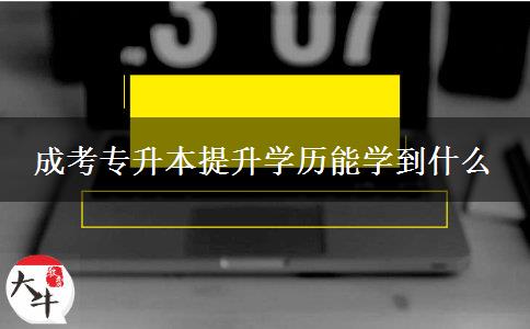 成考專升本提升學(xué)歷能學(xué)到什么