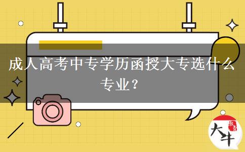 成人高考中專學(xué)歷函授大專選什么專業(yè)？