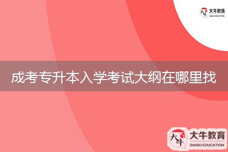 成考專升本入學(xué)考試大綱在哪里找