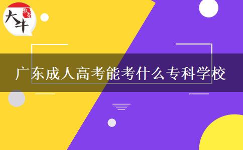 廣東成人高考能考什么專科學(xué)校