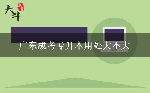 廣東成考專升本用處大不大