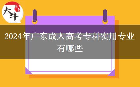 2024年廣東成人高考?？茖嵱脤I(yè)有哪些