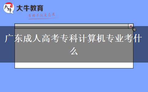 廣東成人高考?？朴?jì)算機(jī)專業(yè)考什么