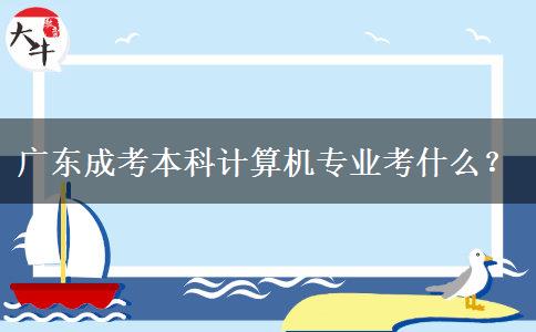 廣東成考本科計(jì)算機(jī)專業(yè)考什么？