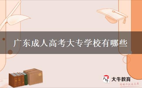 廣東成人高考大專(zhuān)學(xué)校有哪些