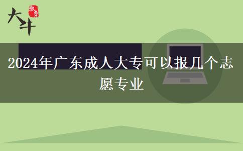 2024年廣東成人大?？梢詧?bào)幾個(gè)志愿專業(yè)