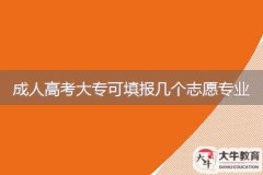 2024年廣東成人高考大?？商顖髱讉€志愿專業(yè)