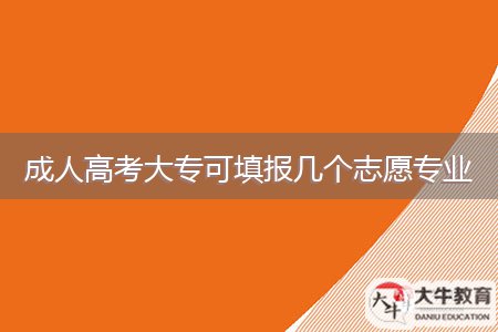 成人高考大?？商顖?bào)幾個(gè)志愿專業(yè)