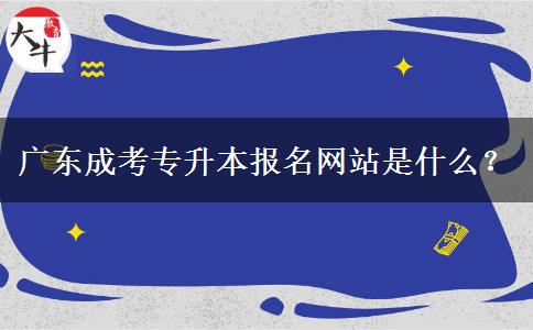 廣東成考專升本報(bào)名網(wǎng)站是什么？