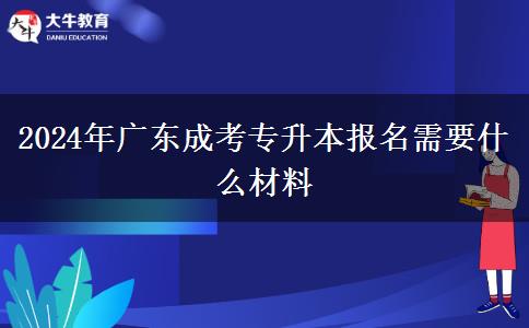 2024年廣東成考專升本報名需要什么材料