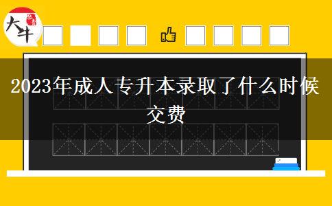 2023年成人專升本錄取了什么時候交費