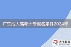 廣東成人高考大專報名條件2024年