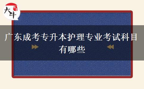 廣東成考專升本護理專業(yè)考試科目有哪些