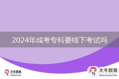 2024年成考?？埔€下考試嗎