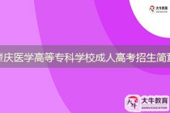 2024年肇慶醫(yī)學(xué)高等?？茖W(xué)校成人高等教育招生簡(jiǎn)章