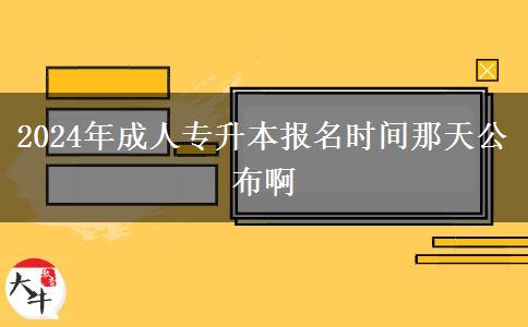 2024年成人專升本報(bào)名時(shí)間那天公布啊