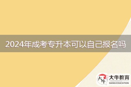 2024年成考專升本可以自己報名嗎