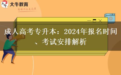 2024年成人成人高考專升本報名時間 什么時候考試