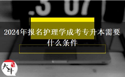 2024年報(bào)名護(hù)理學(xué)成考專(zhuān)升本需要什么條件