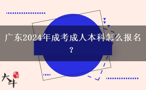 廣東2024年成考成人本科怎么報(bào)名？