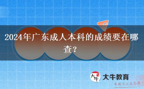 2024年廣東成人本科的成績要在哪查？