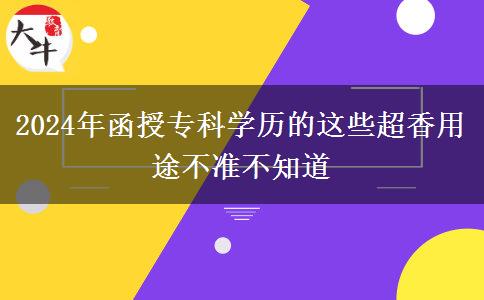 2024年函授?？茖W歷的這些超香用途不準不知道