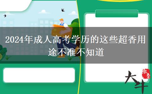 2024年成人高考學(xué)歷的這些超香用途不準(zhǔn)不知道