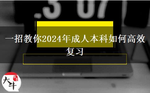 一招教你2024年成人本科如何高效復(fù)習(xí)