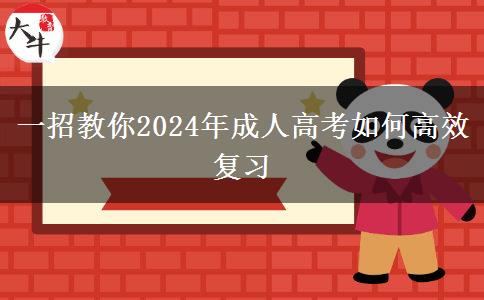 一招教你2024年成人高考如何高效復(fù)習(xí)