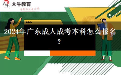 2024年廣東成人成考本科怎么報名？