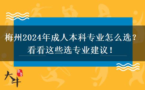 梅州2024年成人本科專業(yè)怎么選？看看這些選專業(yè)建議！